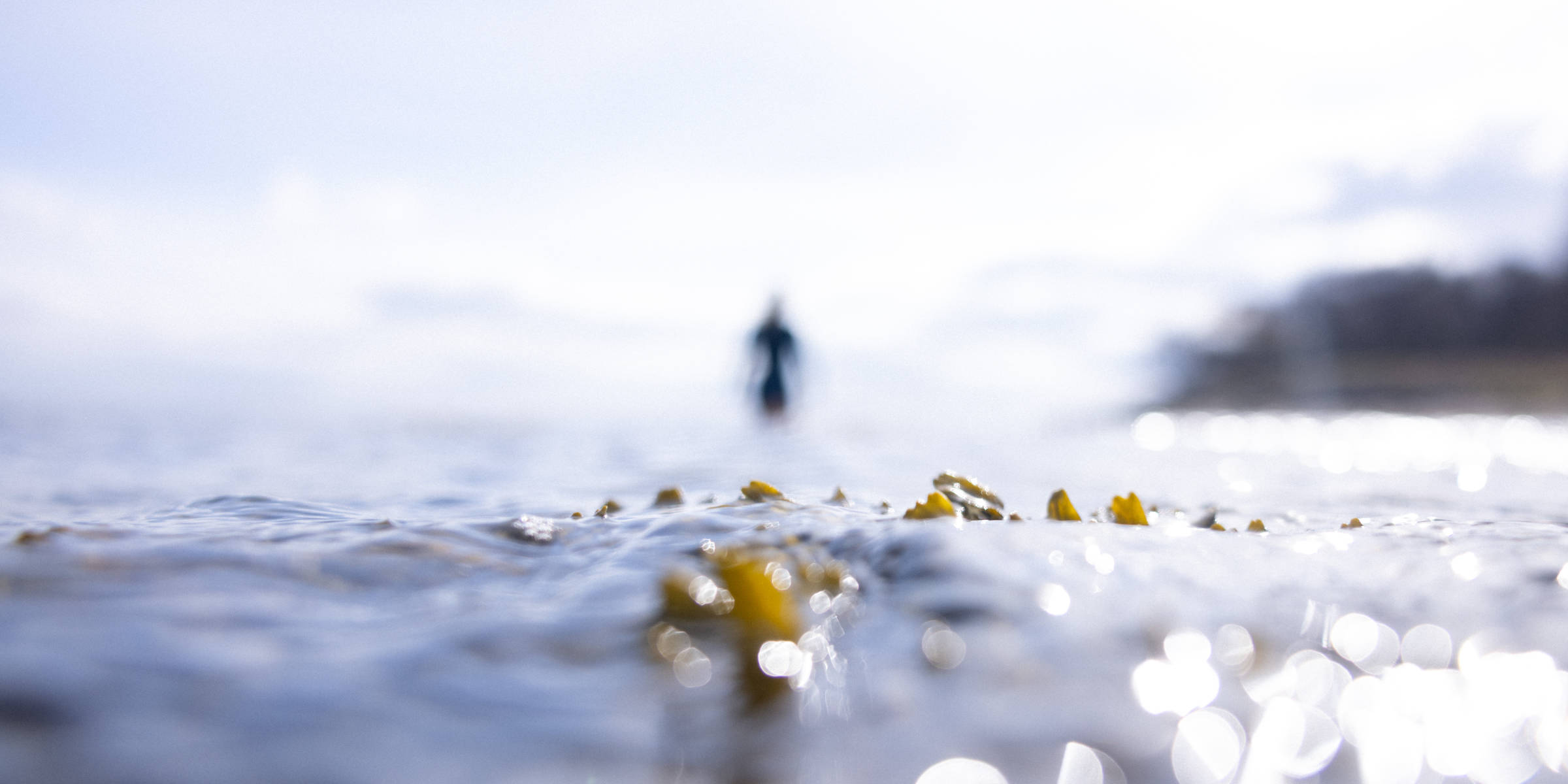 Swimmer wading out into a sea loch