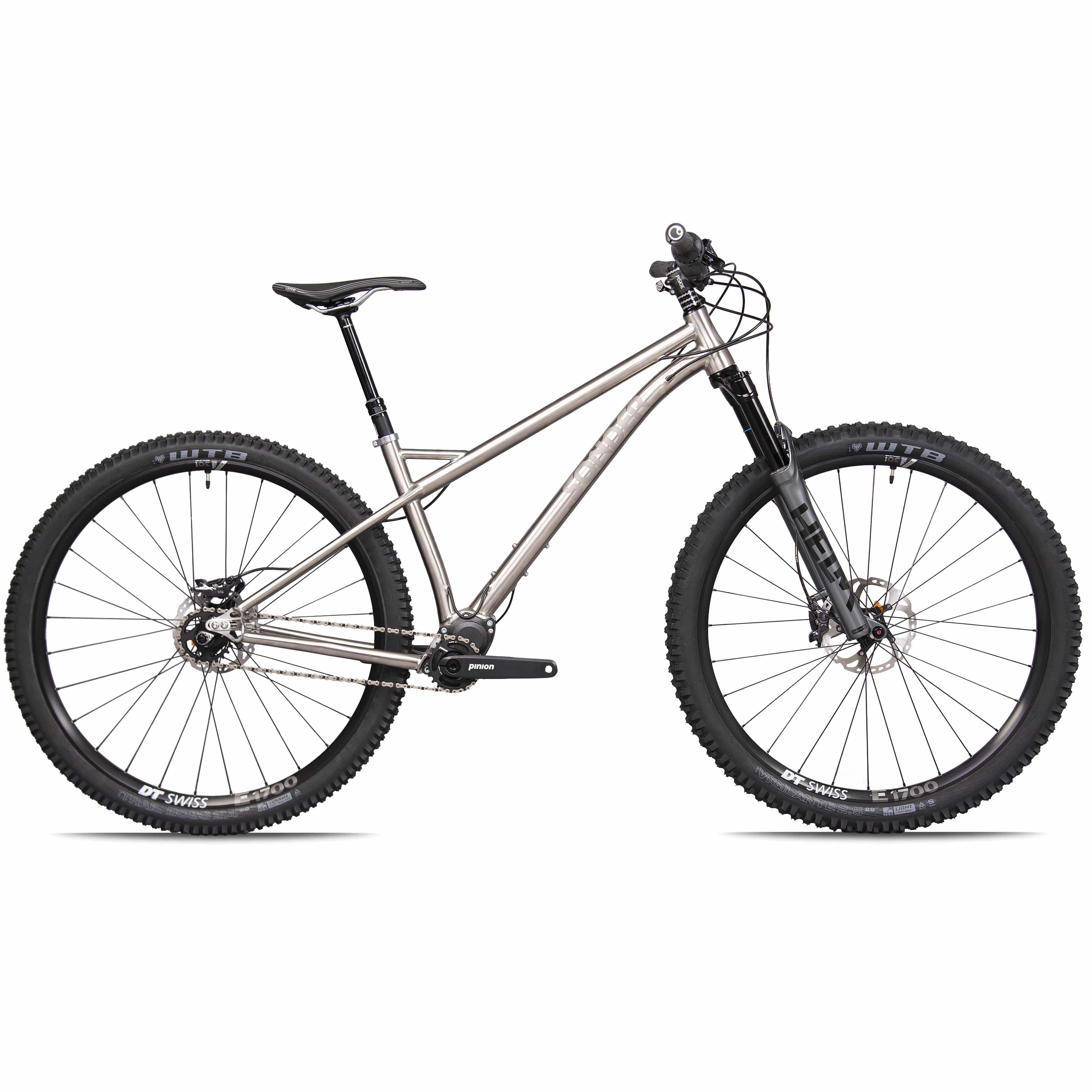 Signal Ti Pinion Aggressive titanium 29er hardtail