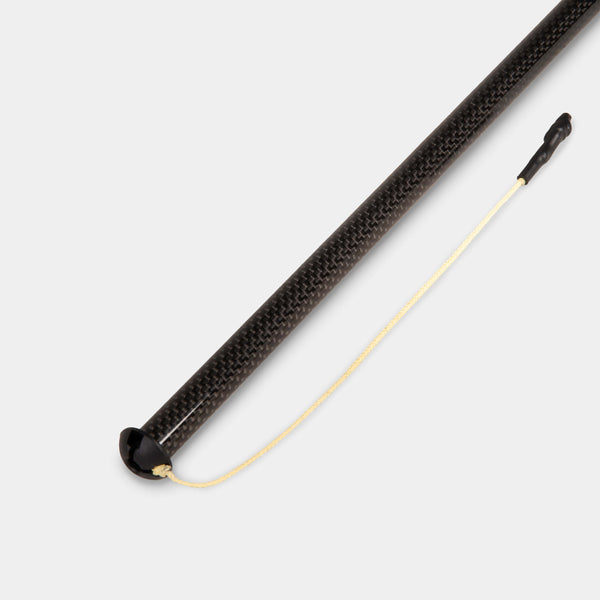 Tarptent Carbon PolyPole V2