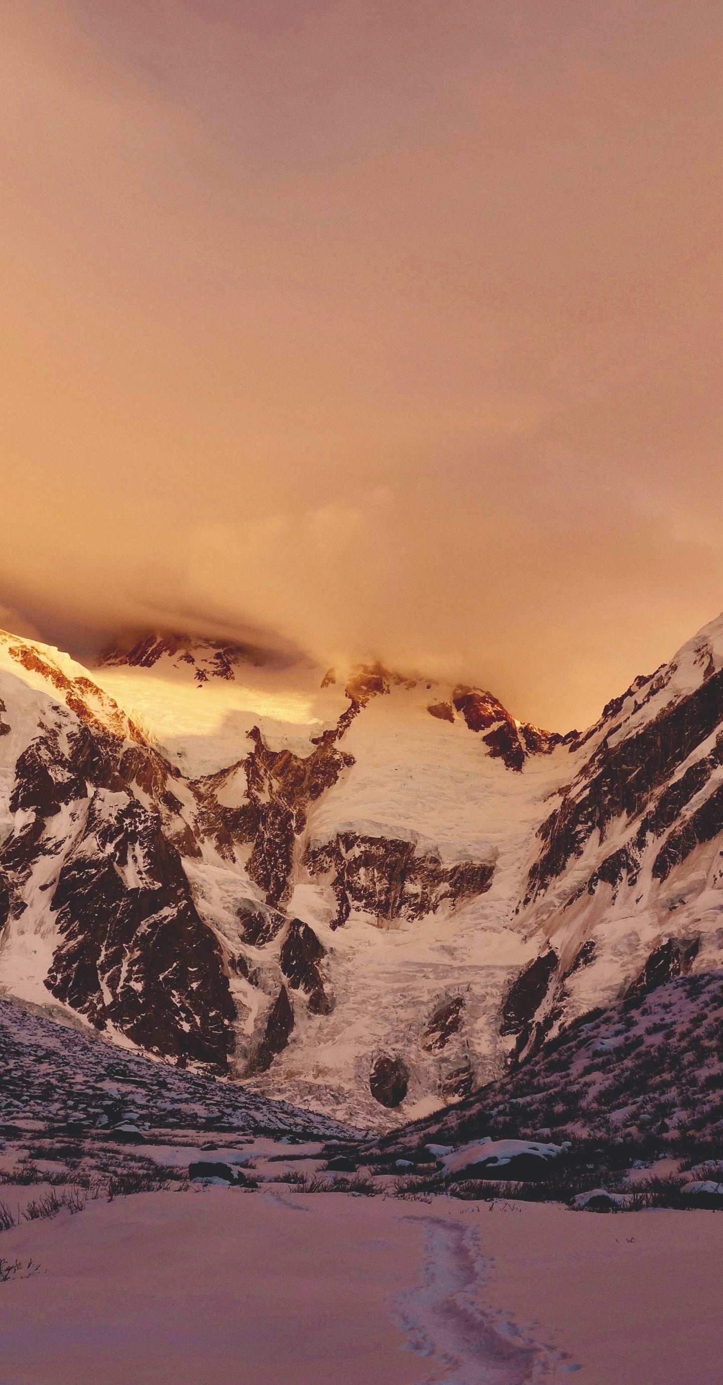 To Live - Fighting for life on the killer mountain by Élisabeth Revol