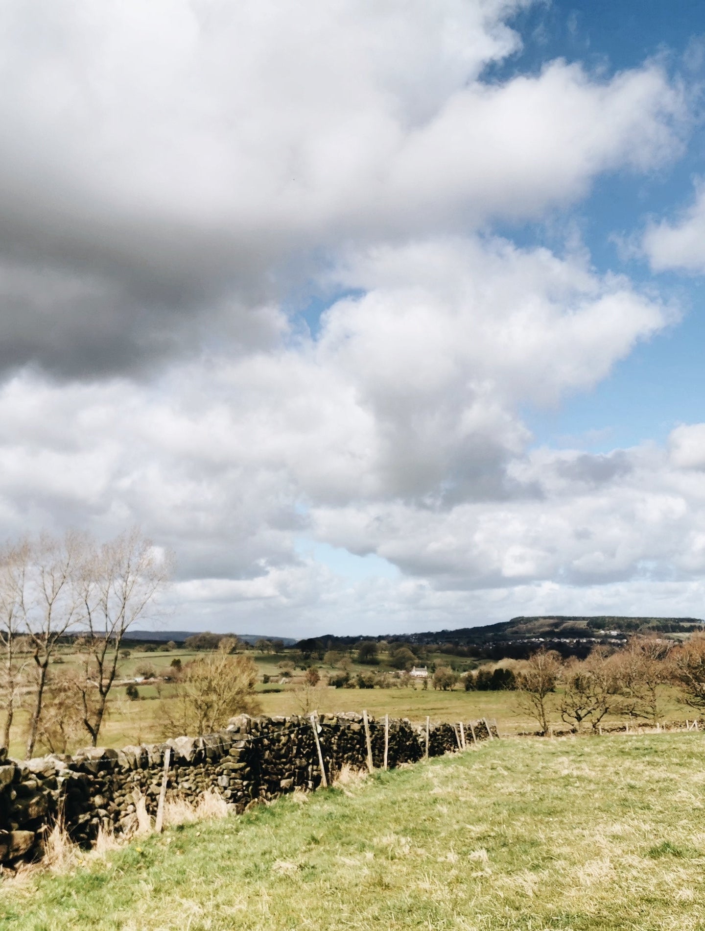 Gratitude. Simplicity. Joy. by Ruth Allen