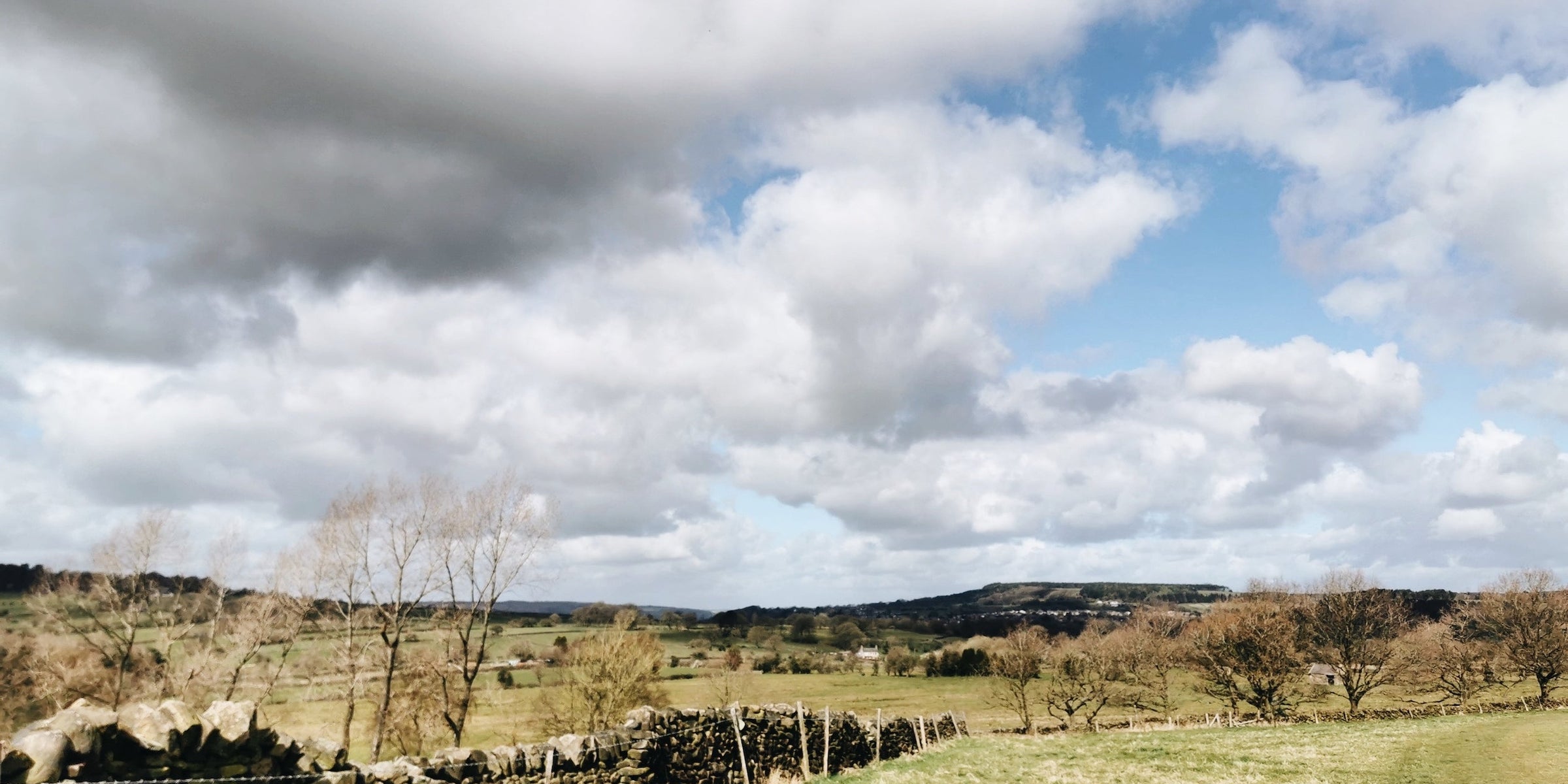 Gratitude. Simplicity. Joy. by Ruth Allen