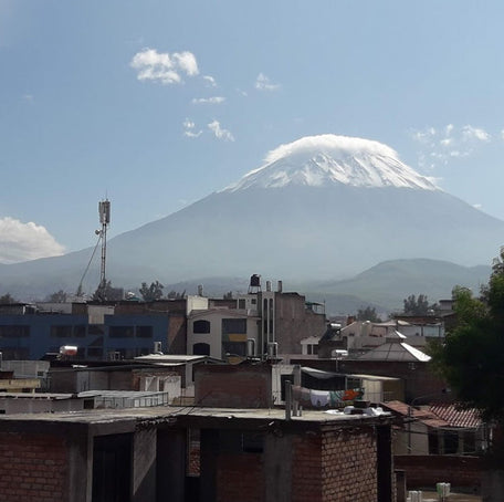 Johnny Parsons Is Running On His Roof: Lockdown In Peru