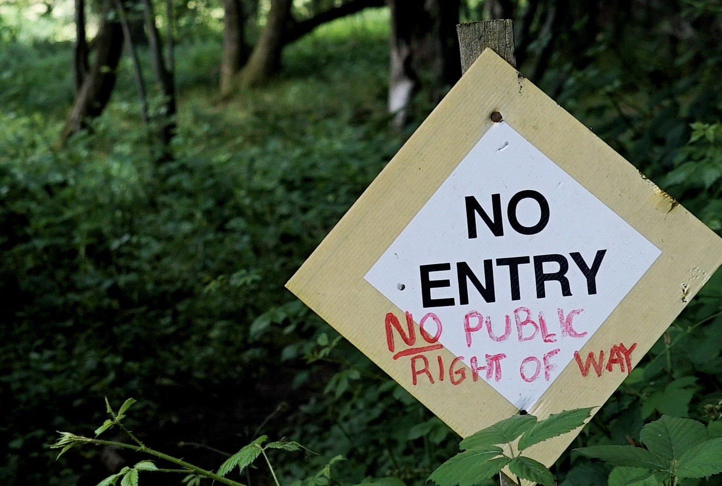 Our Right to Roam