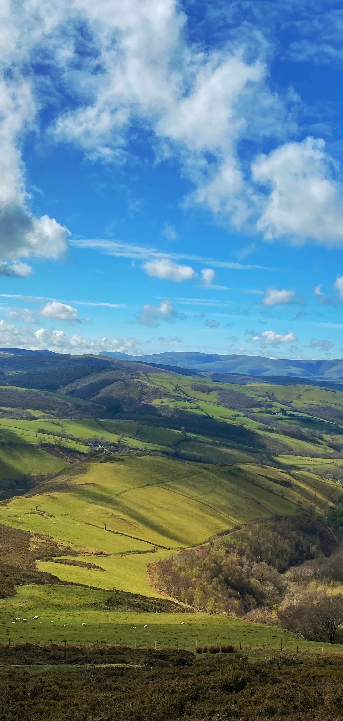 The Trans-Cambrian Way Loop
