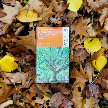 Connecting with Nature