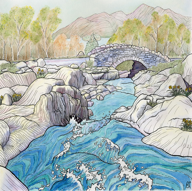 Extreme Lakeland by Jon Sparks