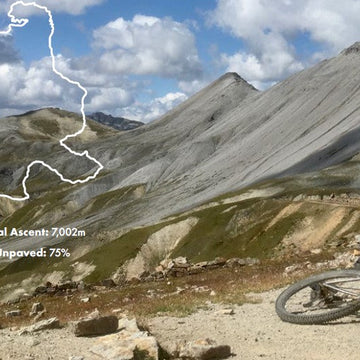 Shaggy and the Iditarod