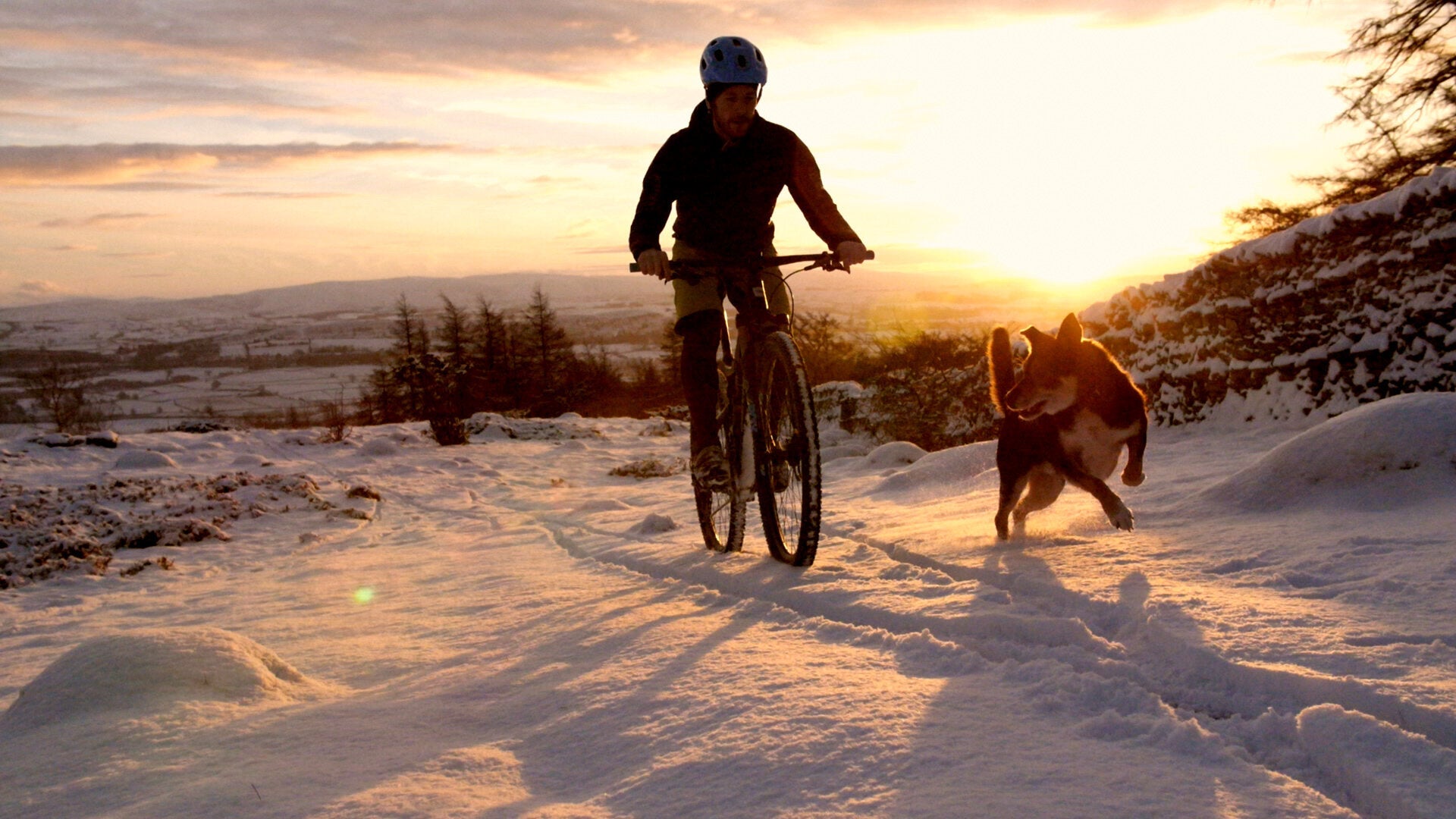 Winter cyclist in the snow with dog