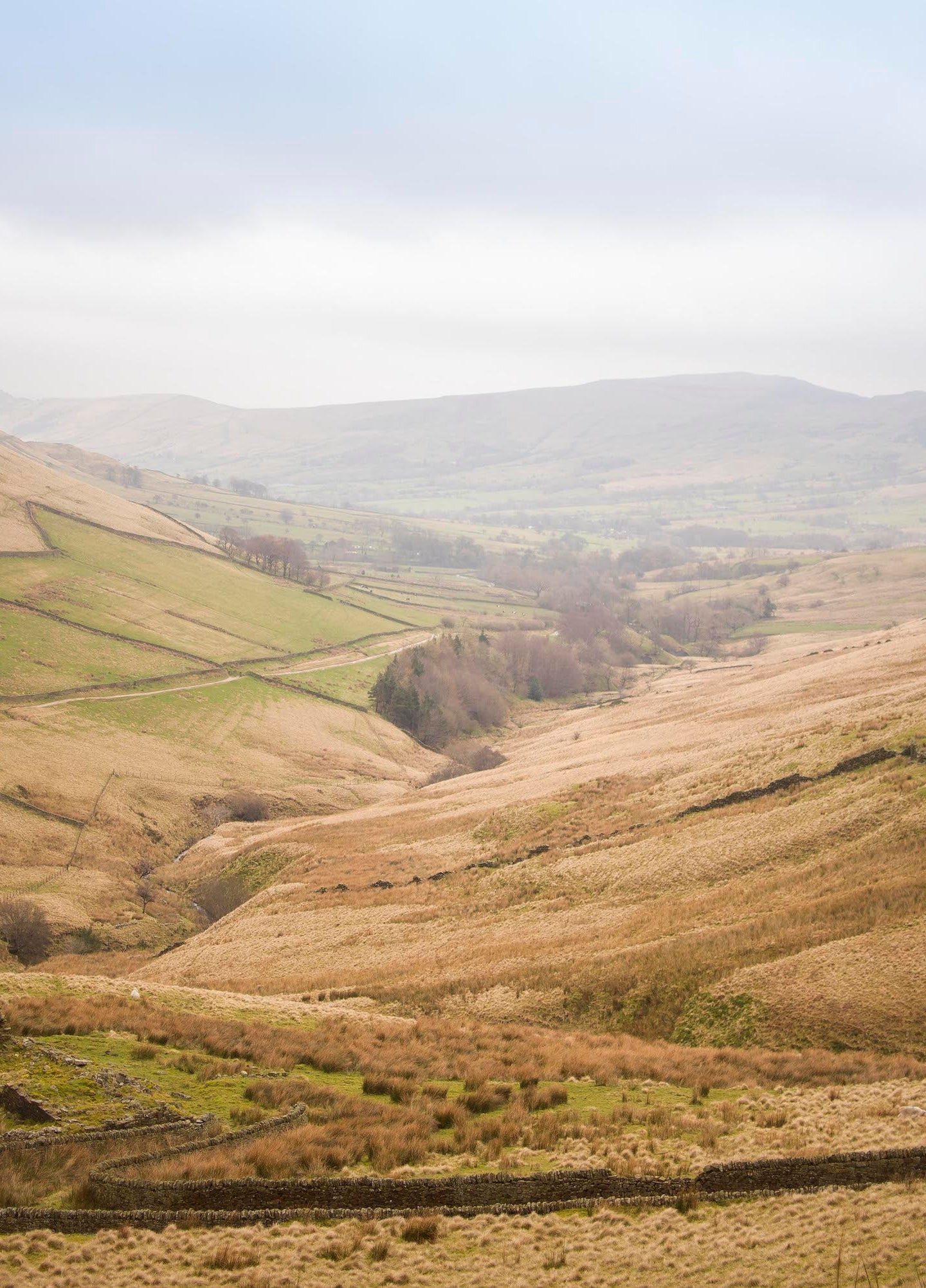 Welcome to Maddy Turley, our new Non-Exec Director