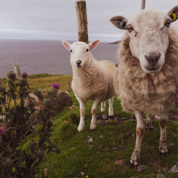 Not All Points North - Part 3