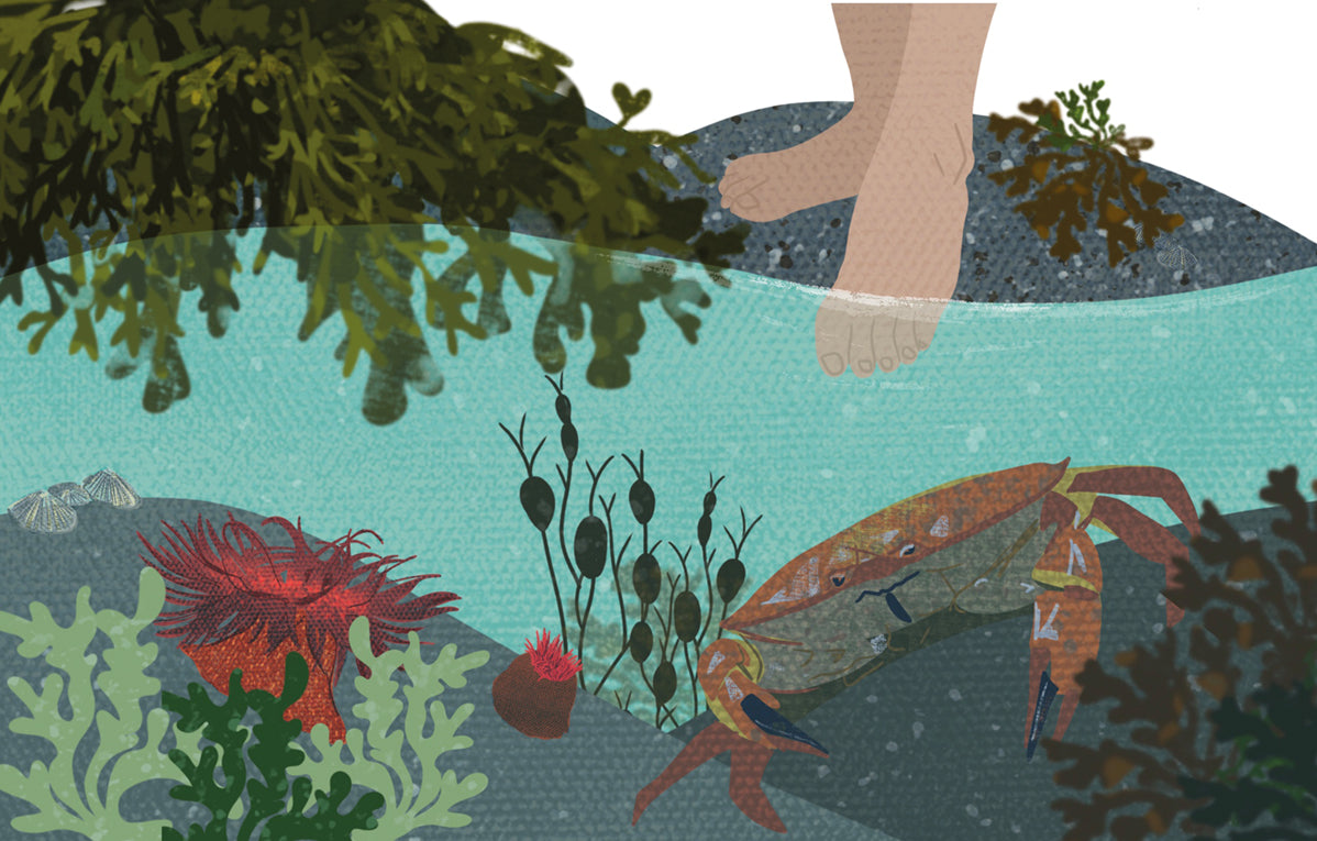 Wild Waters by Susanne Masters