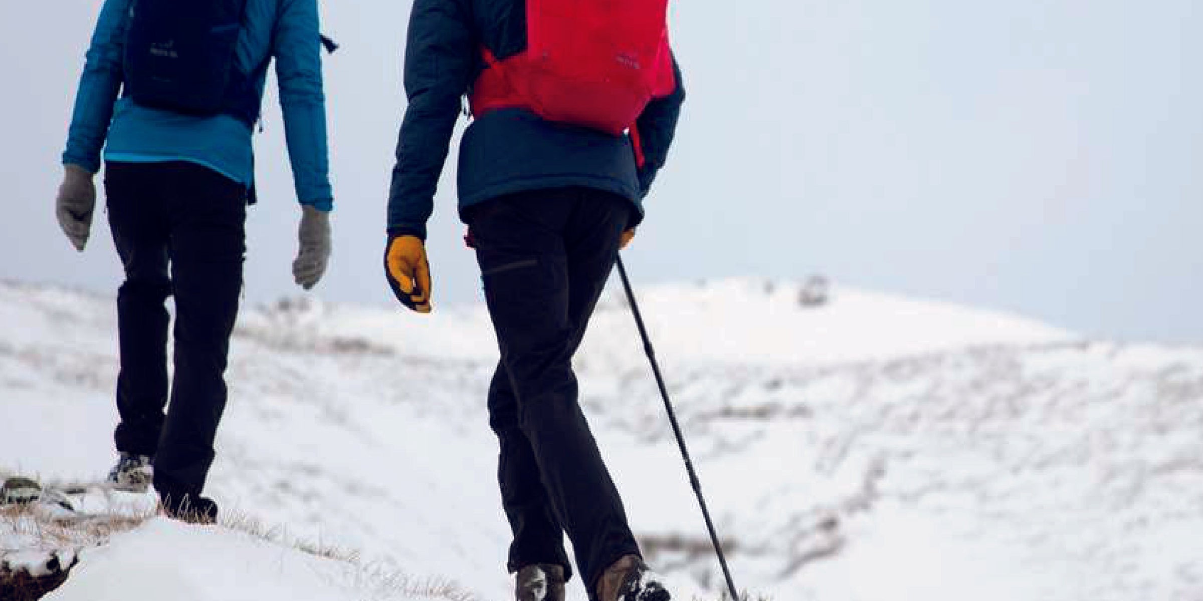 Ardent named 'Best Value' by Trail Magazine