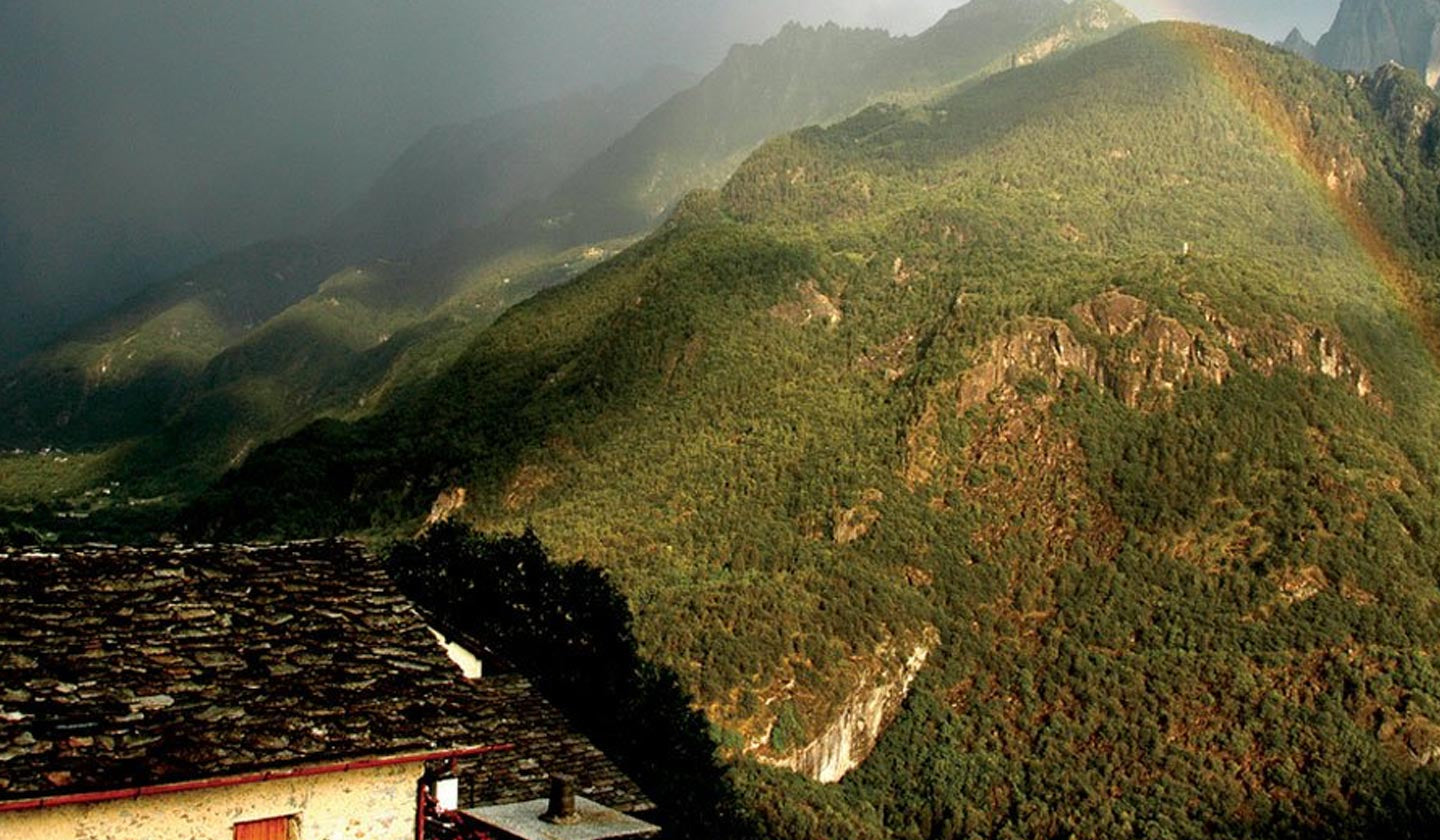 Grassroots Support Now