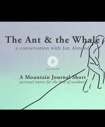 Ant and The Whale
