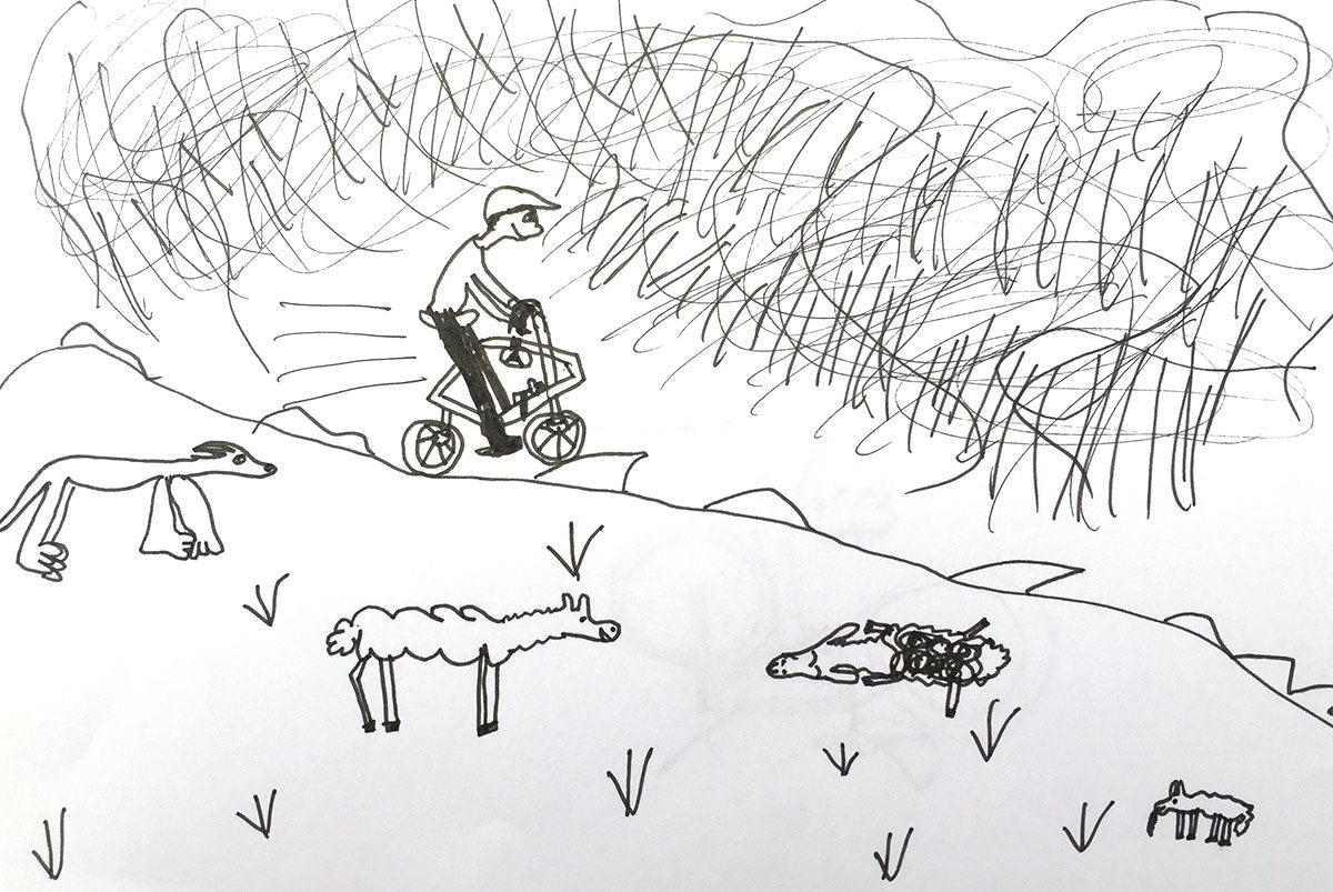 Bear Bones 300