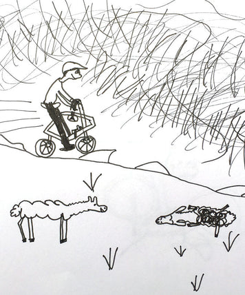 Bear Bones 300
