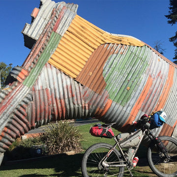 Cycling in New Zealand