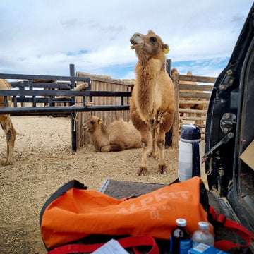 Following Nan - a slower, deeper style of mountaineering