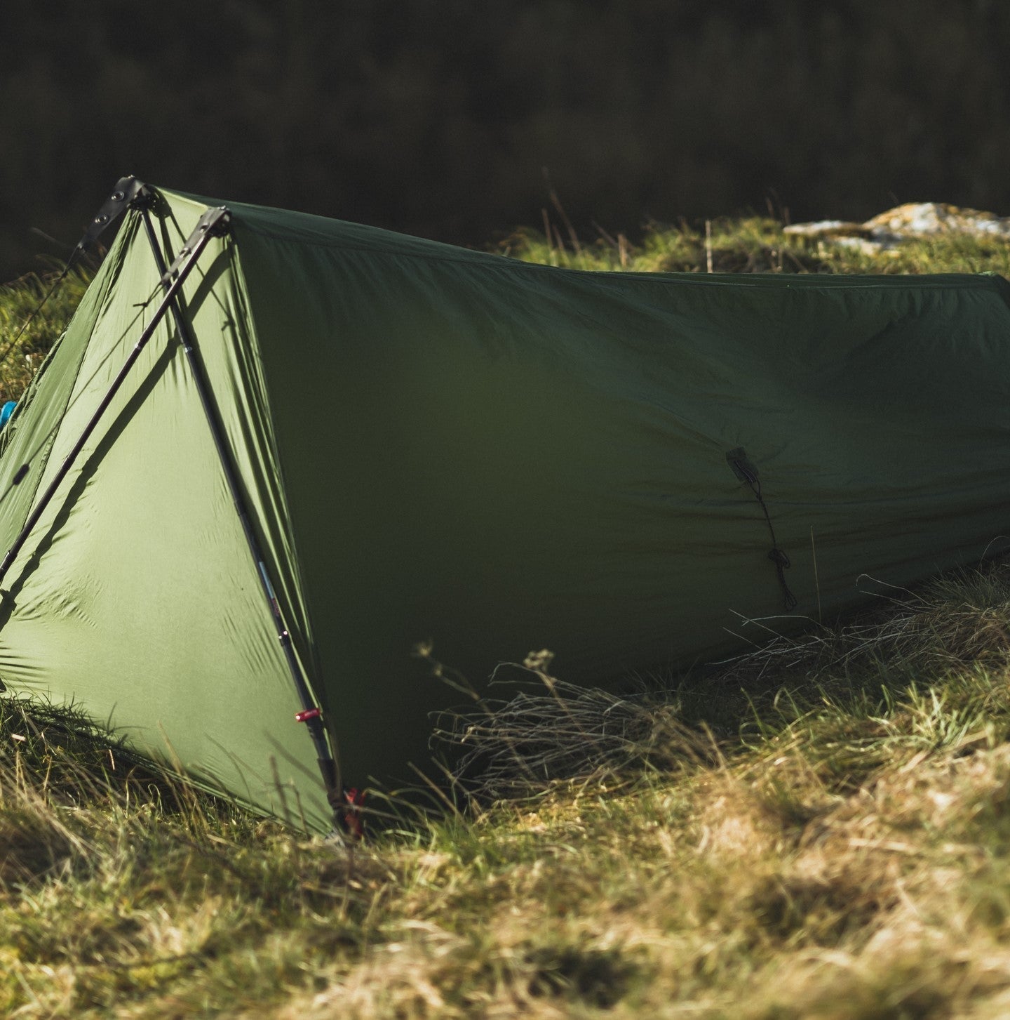 Lightweight backpacking tent
