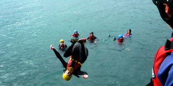 Wild Swimming with sea monsters