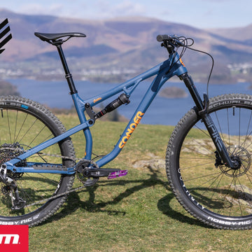 Shaggy and the Iditarod