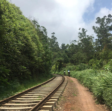 Cycling Adventures in Asia: Complete Walking Route Guide