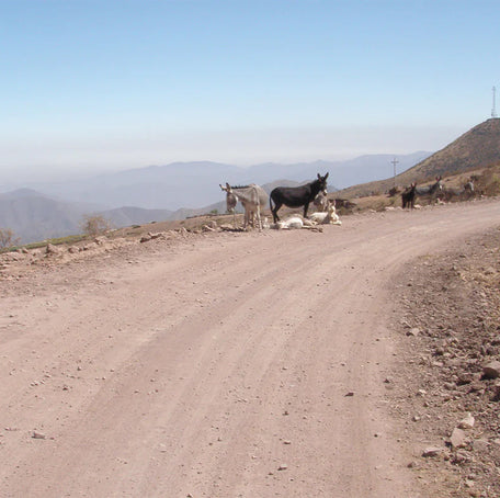 The Wild West of Lima