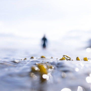 Lotic Wetsuit in Swim The Eden