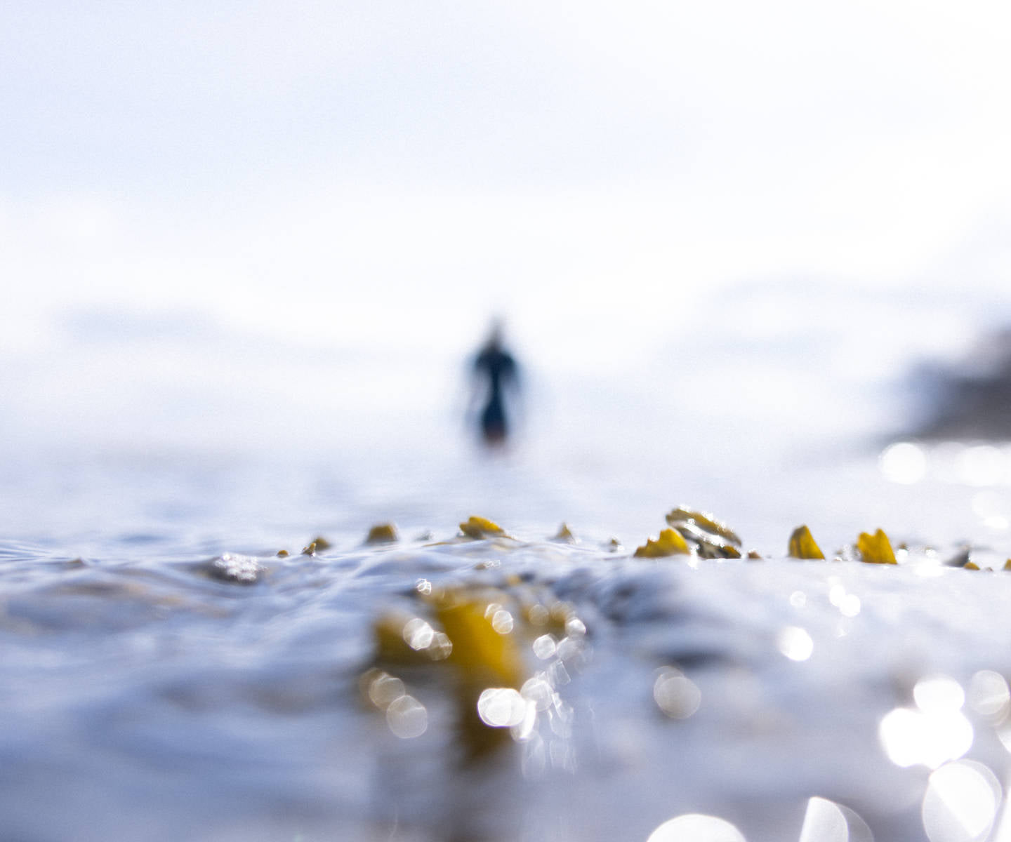 Swimmer wading out into a sea loch