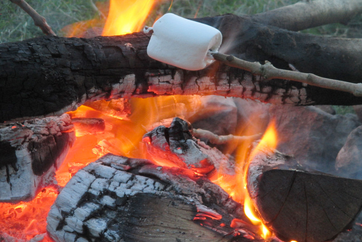 Westhaven School's DofE Success