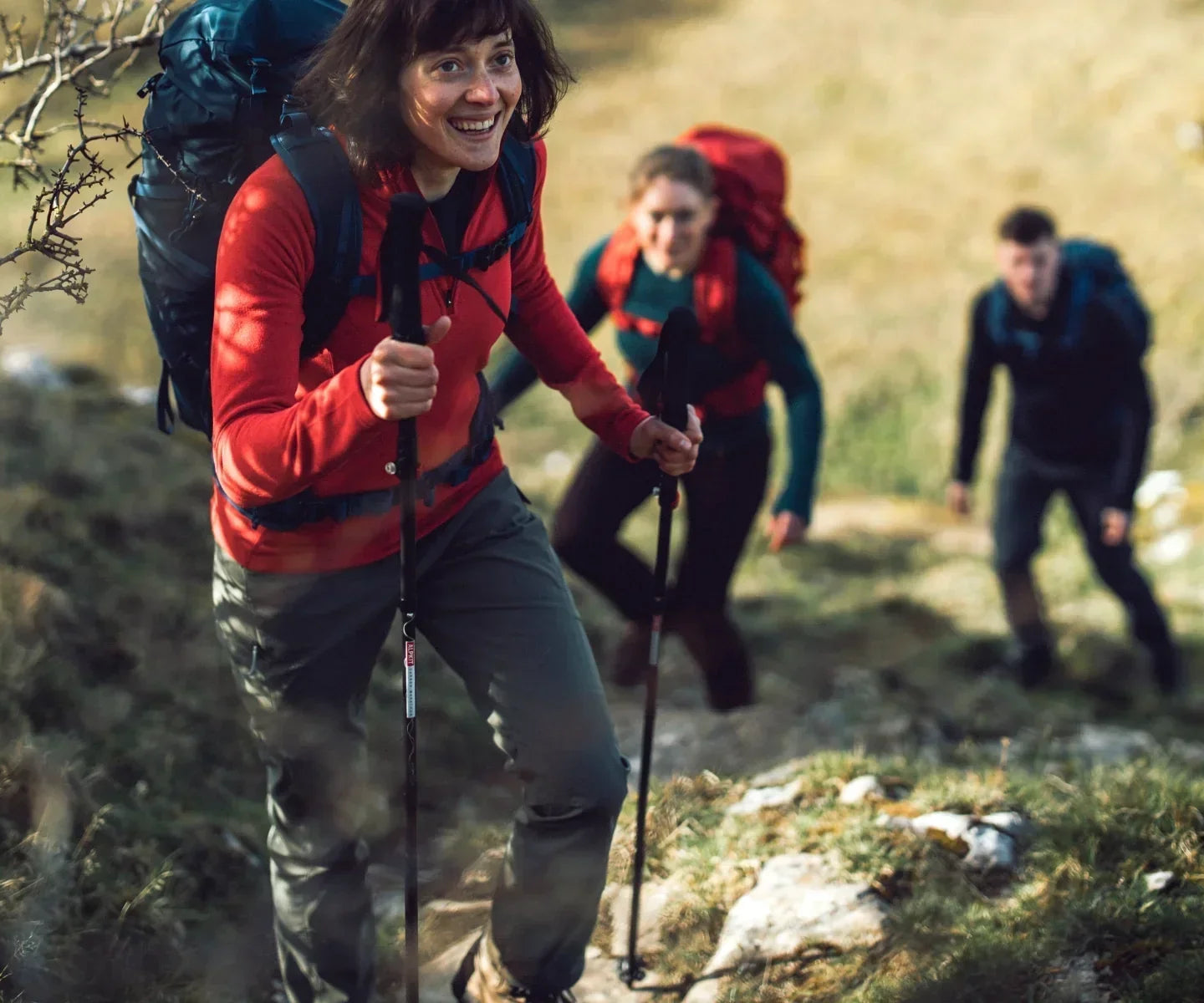 Group of hikers