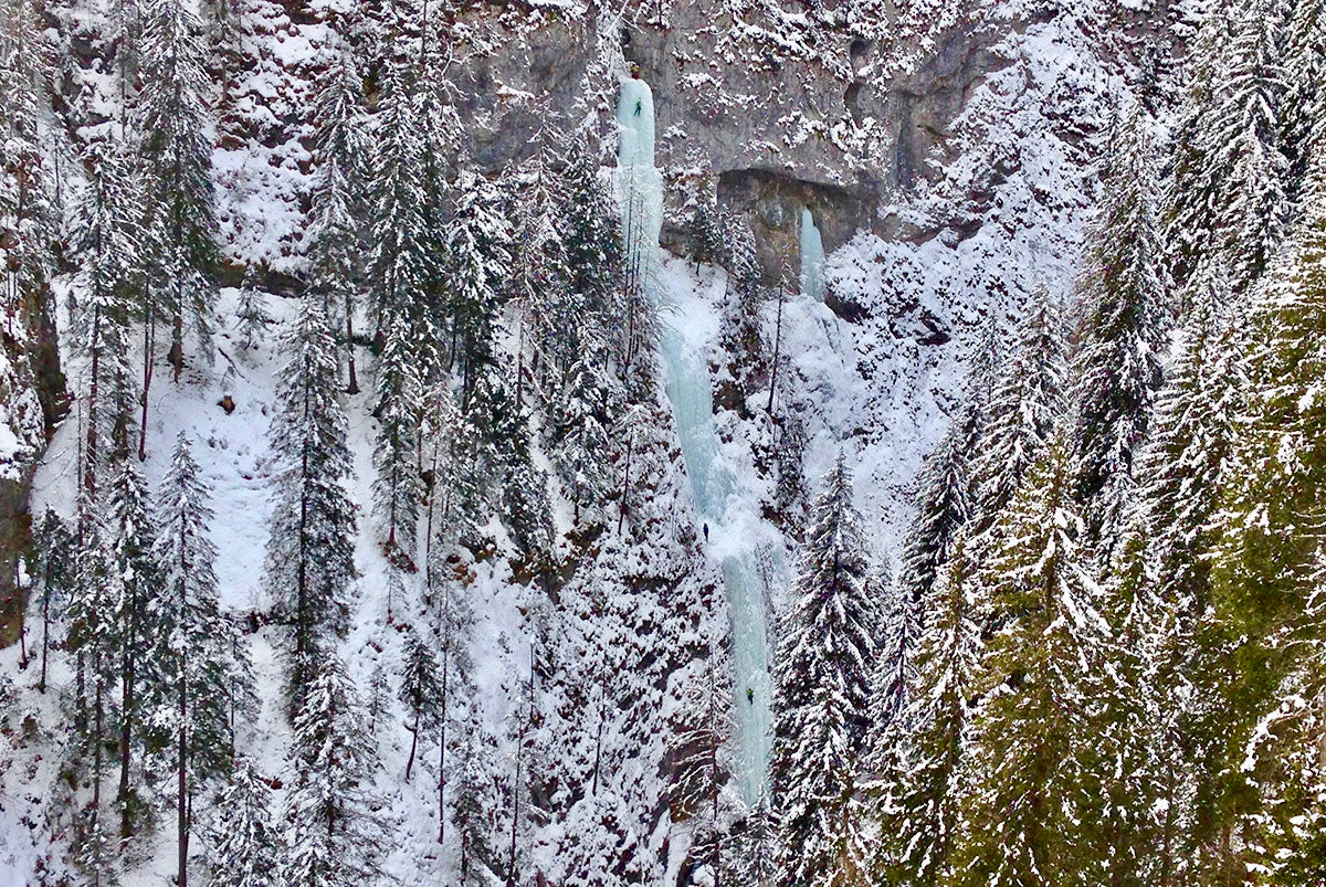 Jollies in the Dollies