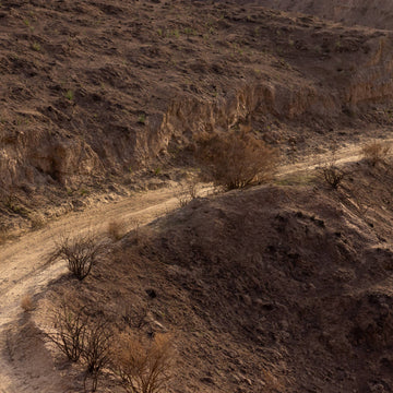 Everything You Need To Know About Gravel Bikes