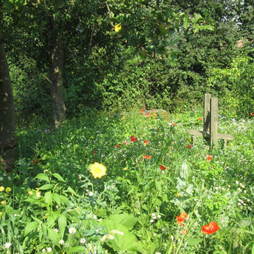 Following Nan - a slower, deeper style of mountaineering