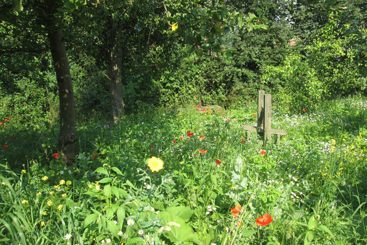 Heeley People's Park