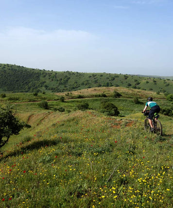 Finding our way in the Holyland