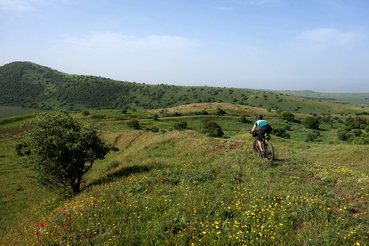 Finding our way in the Holyland