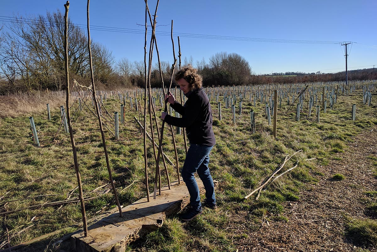 Outdoor Learning at Sylva Wood