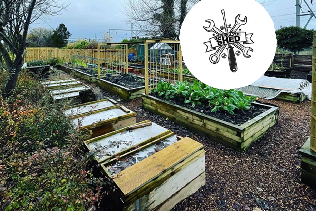 Community gardens to homelessness support