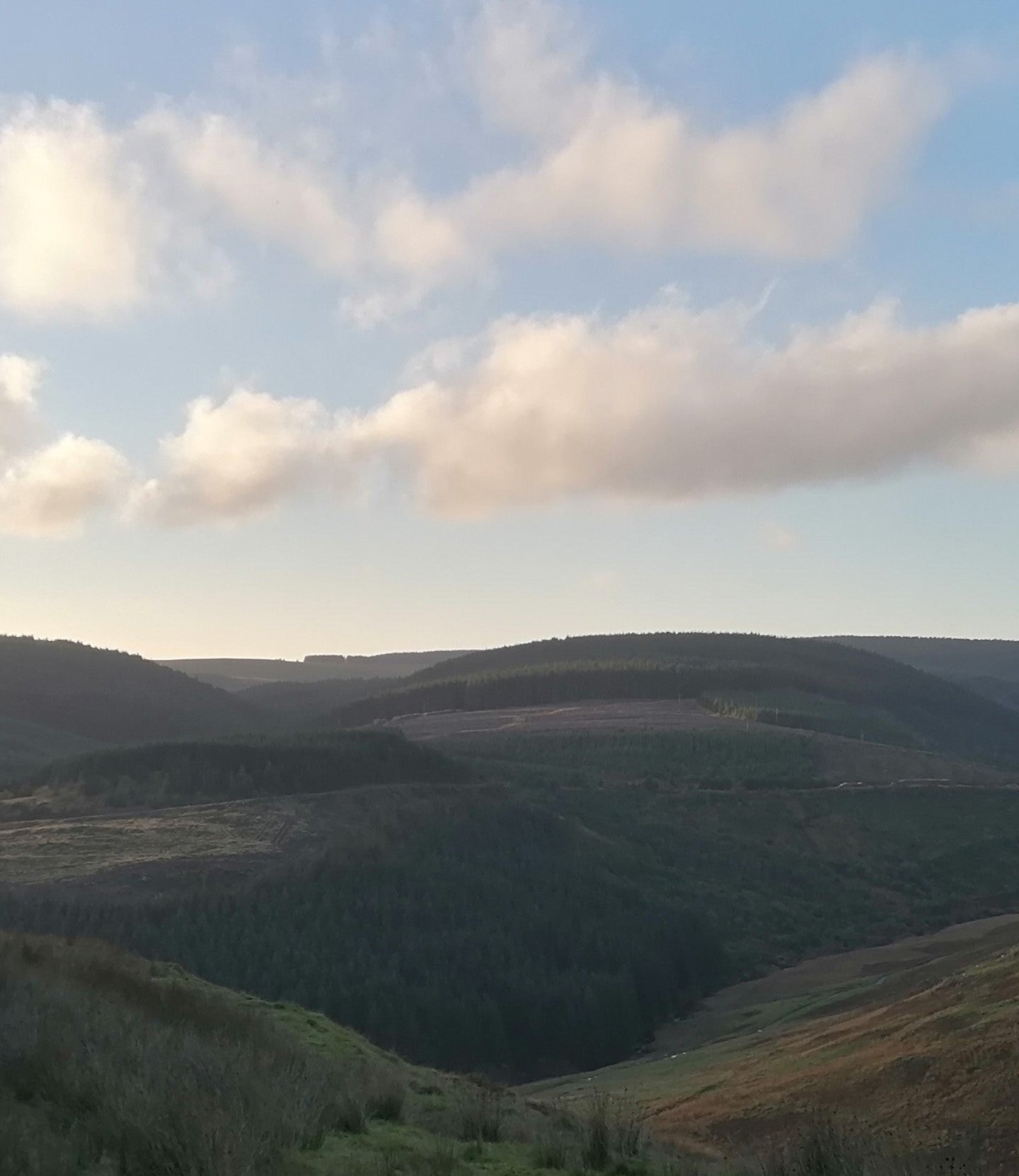 Central Forestry Wales Bikepacking Trip
