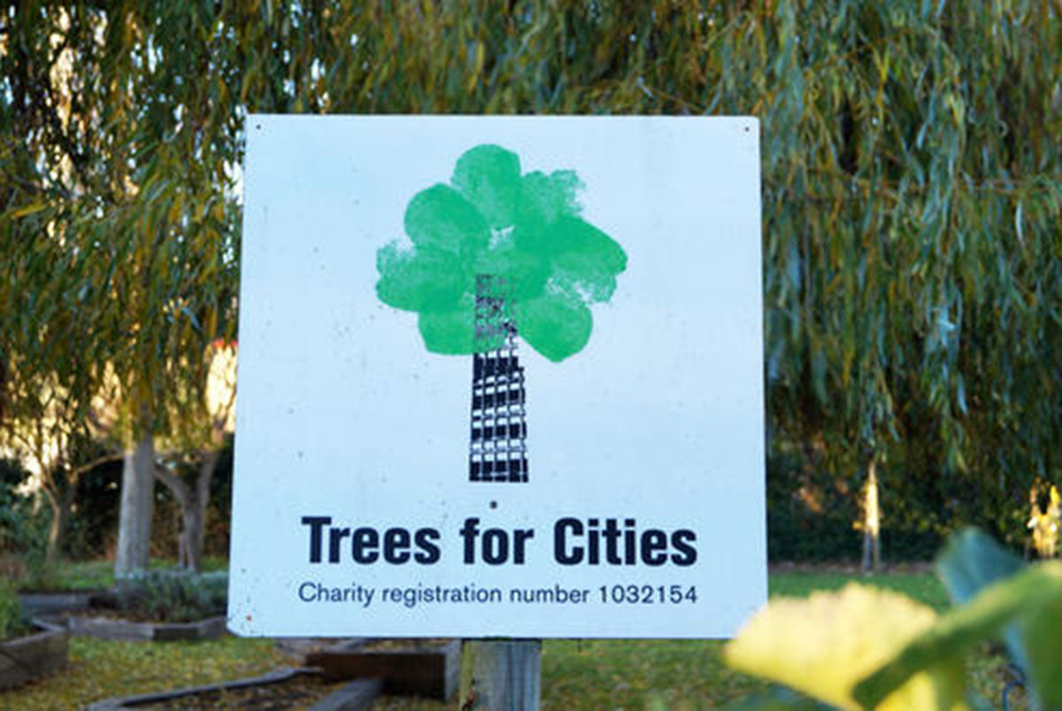 Catching up with Trees for Cities
