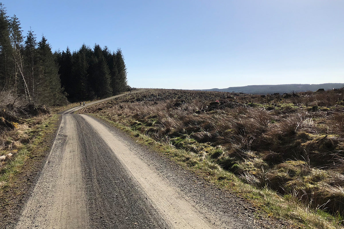 Liam's Dirty One-Thirty