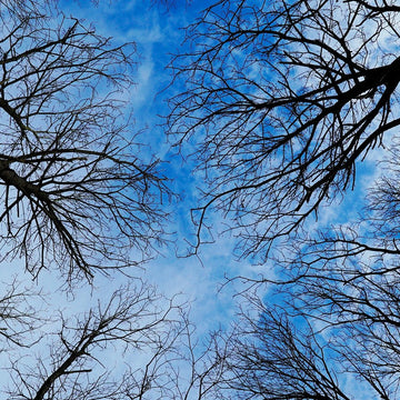 Wild camping on a cliff top