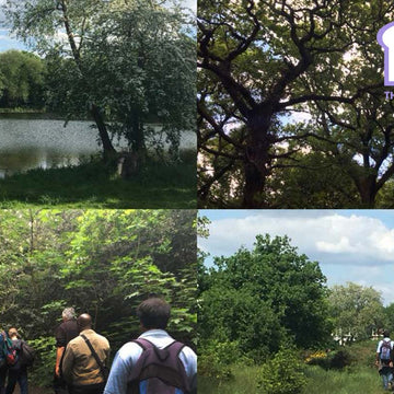 Anna Wells Munro Winter Round