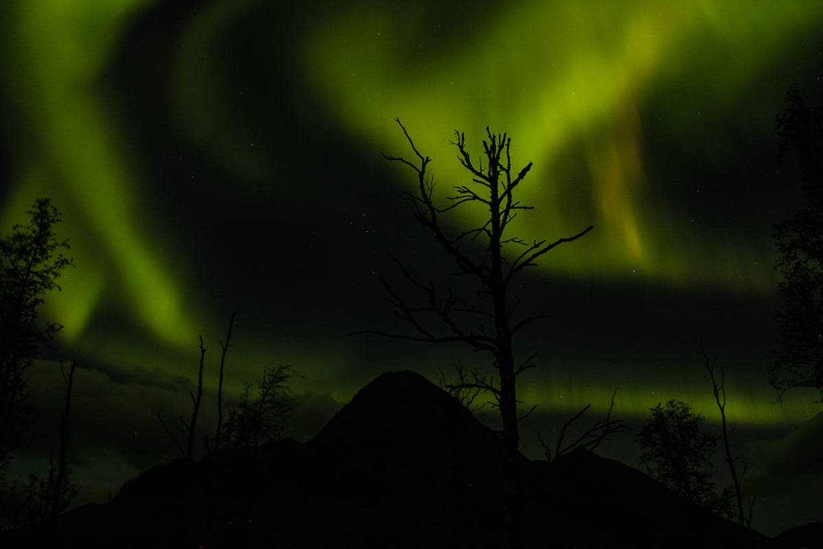 Glacial Retreats in Arctic Norway