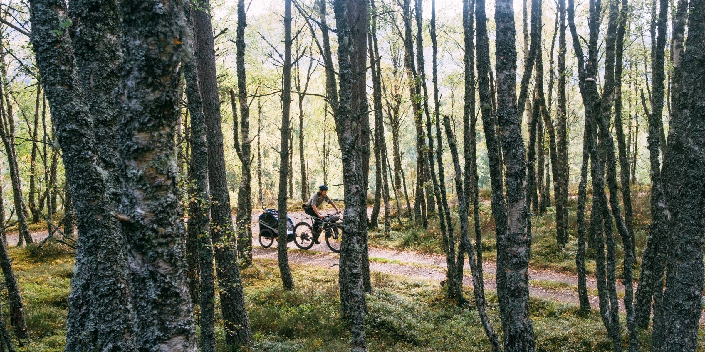 Off-Road Family Bikepacking