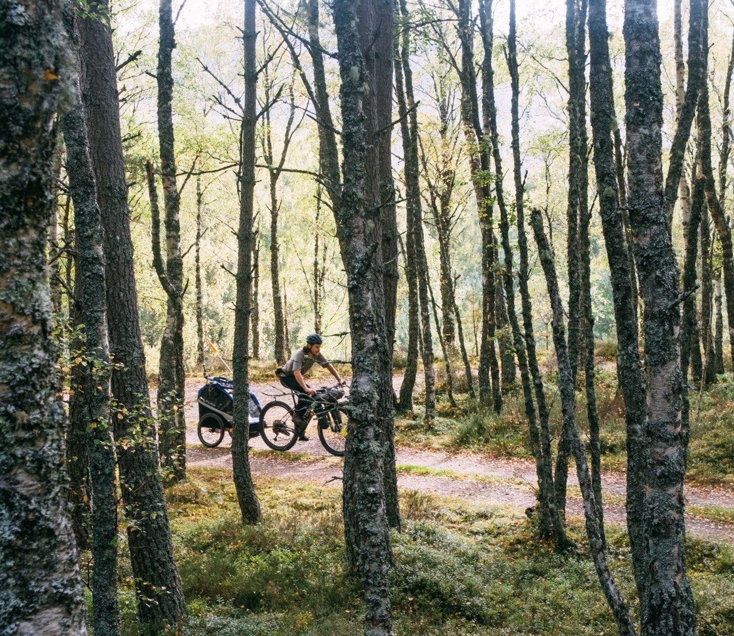 Off-Road Family Bikepacking
