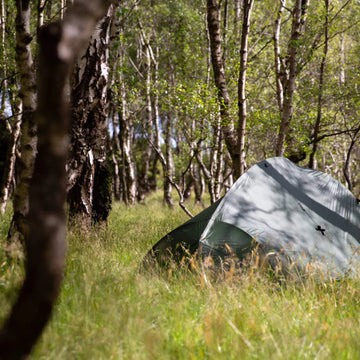 Two person tarp set up
