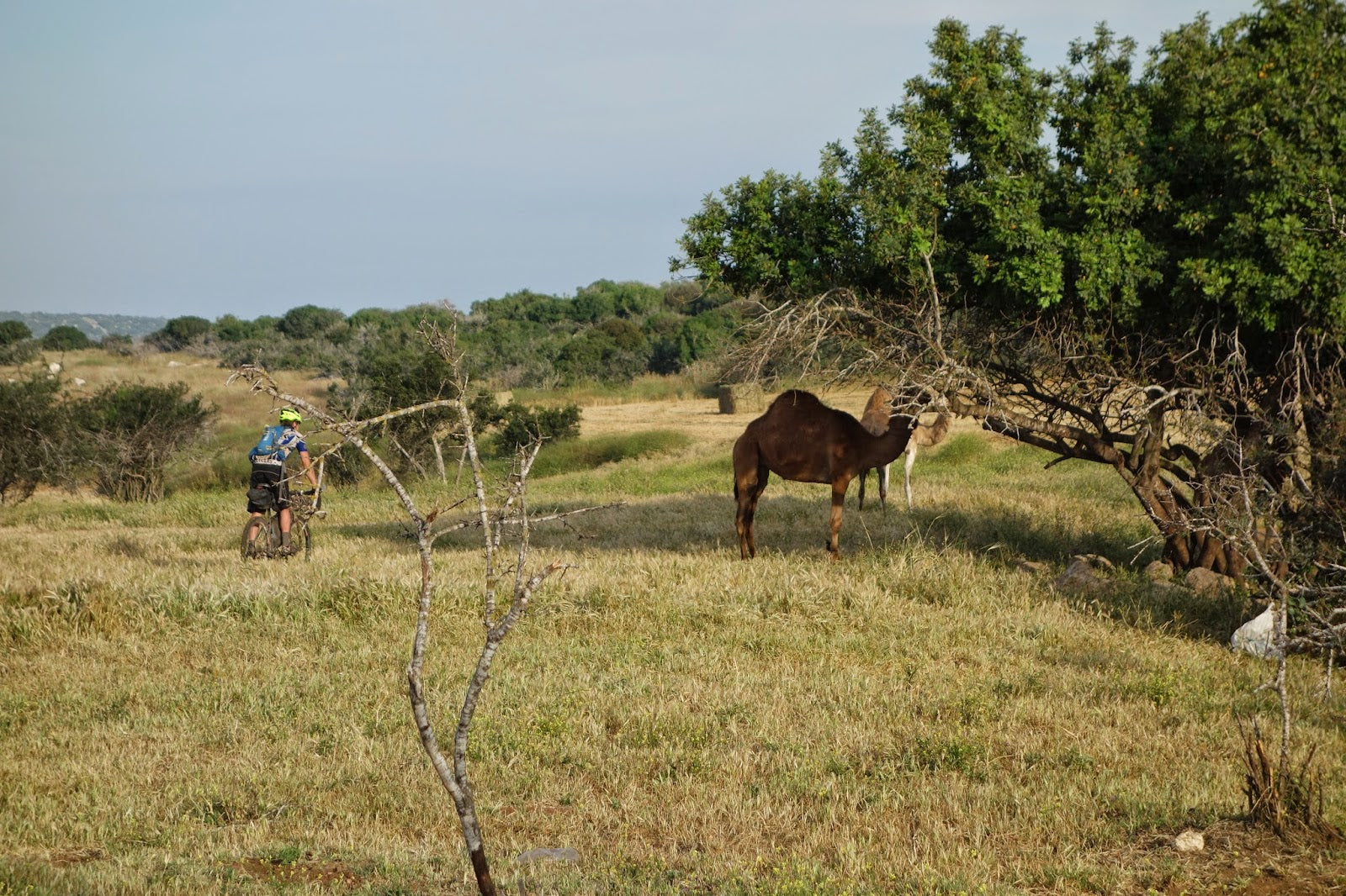 Holyland MTB Challenge - Sun, Sea and Jerusalem